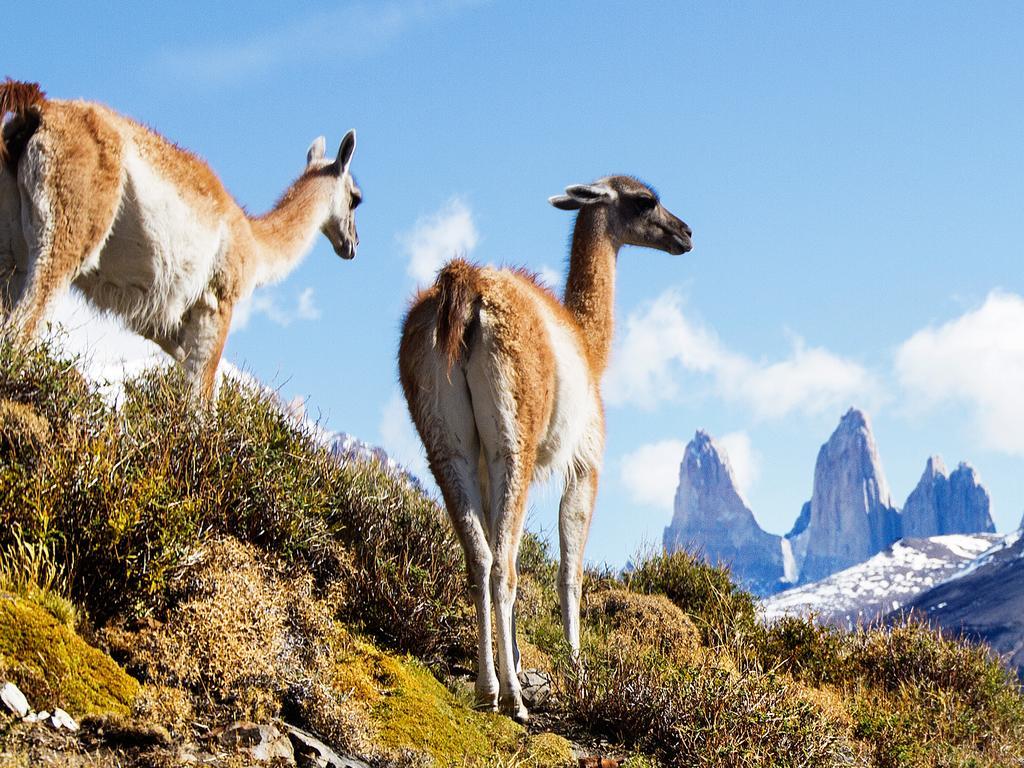 Готель Noi Indigo Patagonia Пуерто-Наталес Екстер'єр фото